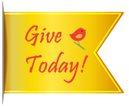Give to CFGV Today